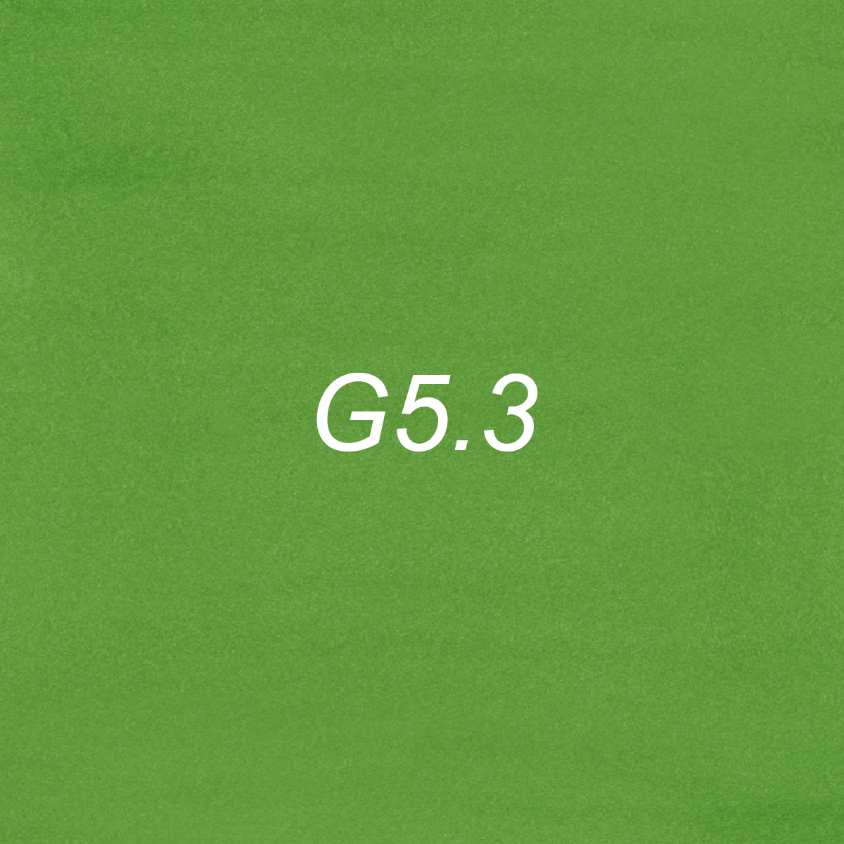 Chisel Ink - G5.3 Green Bean – OLO Marker